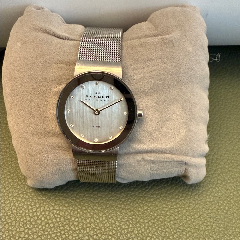 Skagen Stainless Steel Mesh Watch